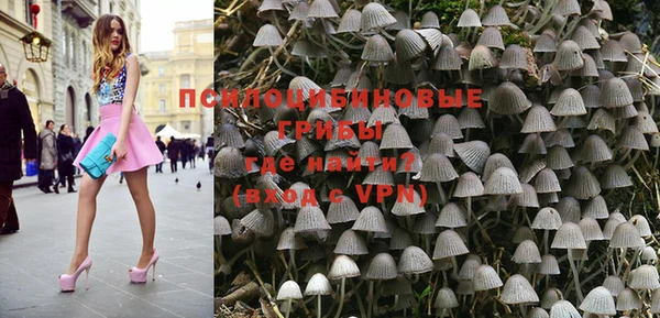 ALPHA PVP Покачи