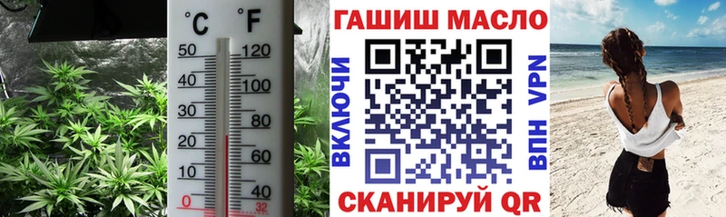где найти   Благодарный  ТГК гашишное масло 